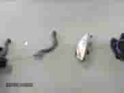 2014 Chevrolet Impala Police Police with VIN 2G1WD5E36E1133932, listed as a IAAI auction lot 42588380 with 174,405 mi miles and . Bid and sale history available at DreamBid. Image 12.