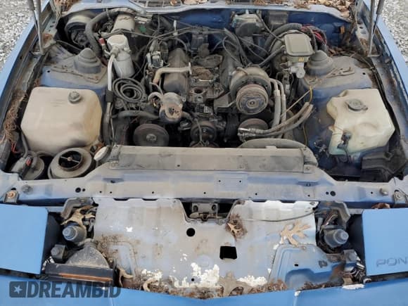 ✅ 1991 Pontiac Firebird • VIN: 1G2FS23T3ML238455 • Lot: 49179155. Listed on Copart with 144,415 mi. Free auction sales archive from the USA and detailed vehicle history report at DreamBid. Image 11.