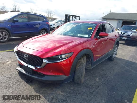 ✅ 2021 Mazda CX-30 Preferred • VIN: 3MVDMBCL1MM256608 • Lot: 43663436. Listed on IAAI with 74,967 mi. Free auction sales archive from the USA and detailed vehicle history report at DreamBid. Image 2.