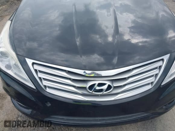 ✅ 2014 Hyundai Azera Limited • VIN: KMHFH4JG5EA353031 • Lot: 42481763. Listed on IAAI with 90,244 mi. Free auction sales archive from the USA and detailed vehicle history report at DreamBid. Image 6.