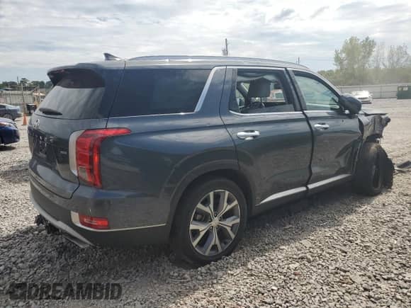 2020 Hyundai Palisade SEL with VIN KM8R4DHE7LU149954, listed as a Copart auction lot 70291804 with 48,488 mi miles and Salvage title. Bid and sale history available at DreamBid. Image 3.