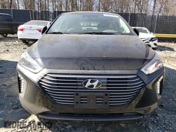 ✅ 2019 Hyundai Ioniq Limited • VIN: KMHC75LDXKU182883 • Lot: 46660655. Wystawiony na Copart z przebiegiem 119 968 mil. Bezpłatny archiwum sprzedaży aukcyjnych z USA i szczegółowy raport historii pojazdu na DreamBid. Zdjęcie 5.