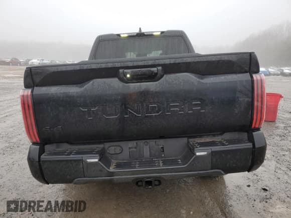 ✅ 2024 Toyota Tundra Platinum • VIN: 5TFNA5DB5RX193987 • Lot: 45086215. Listed on Copart with 8,427 mi. Free auction sales archive from the USA and detailed vehicle history report at DreamBid. Image 6.