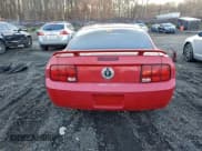 ✅ 2005 Ford Mustang Deluxe • VIN: 1ZVFT80NX55156923 • Lot: 96801755. Listed on Copart with Not provided. Free auction sales archive from the USA and detailed vehicle history report at DreamBid. Image 6.