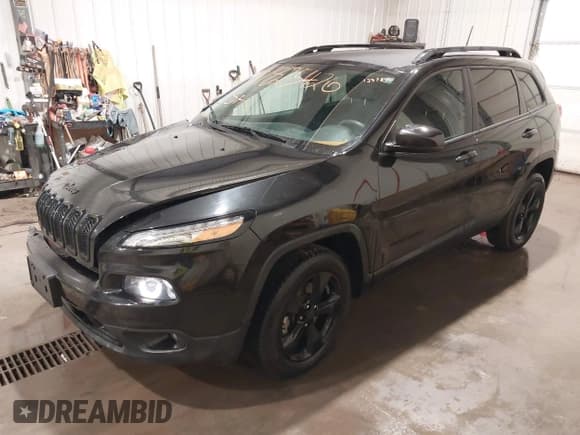 ✅ 2016 Jeep Cherokee Latitude • VIN: 1C4PJMCS2GW218917 • Lot: 41825426. Wystawiony na IAAI z przebiegiem 123 789 mil. Bezpłatny archiwum sprzedaży aukcyjnych z USA i szczegółowy raport historii pojazdu na DreamBid. Zdjęcie 20.