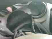 2016 Chevrolet Cruze LT с VIN 1G1BD5SM5G7281569, выставлен на аукционе Copart как лот 49087535 с пробегом Не указан миль и Списание • Salvage title. История ставок и продаж доступна на DreamBid. Изображение 9.