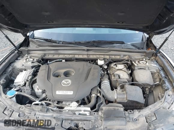 ✅ 2023 Mazda CX-50 Premium Plus • VIN: 7MMVABEY7PN115401 • Лот: 43575616. Опубликован ранее на IAAI с пробегом 50 387 миль. Бесплатный доступ к архиву аукционных продаж из США и подробный отчёт об истории автомобиля на DreamBid. Изображение 10.