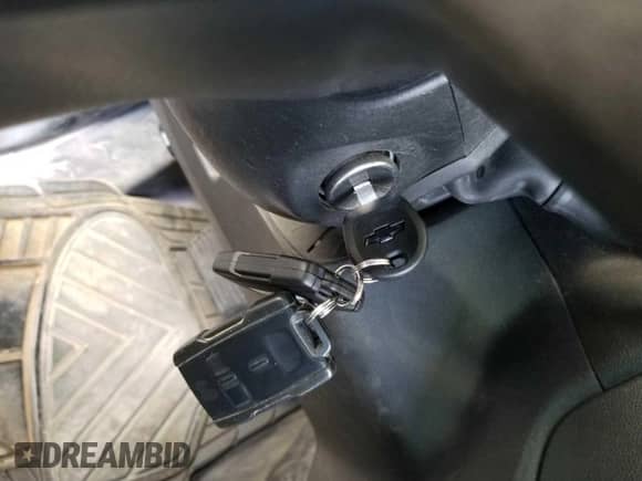 2019 Chevrolet Silverado 1500 Work Truck z VIN 3GCUYAEF4KG192776, wystawiony jako IAAI lot #43060164 z przebiegiem 123 753 mil mil oraz . Historia ofert i sprzedaży dostępna na DreamBid. Obrazek 1.