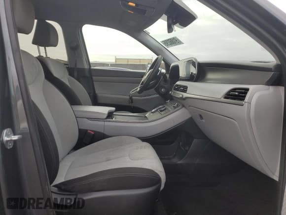 ✅ 2022 Hyundai Palisade SE • VIN: KM8R1DHE3NU424604 • Lot: 91860295. Listed on Copart with 110,639 mi. Free auction sales archive from the USA and detailed vehicle history report at DreamBid. Image 7.