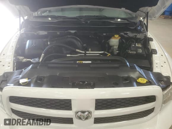 ✅ 2015 Ram 1500 Big Horn • VIN: 1C6RR7LT4FS744314 • Lot: 53300345. Listed on Copart with 175,830 mi. Free auction sales archive from the USA and detailed vehicle history report at DreamBid. Image 11.