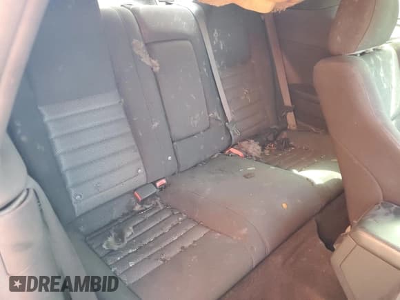 ✅ 2010 Dodge Challenger SE • VIN: 2B3CJ4DV1AH104213 • Lot: 72182844. Wystawiony na Copart z przebiegiem Nie podano. Bezpłatny archiwum sprzedaży aukcyjnych z USA i szczegółowy raport historii pojazdu na DreamBid. Zdjęcie 10.