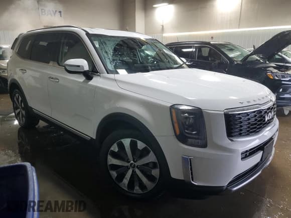 ✅ 2022 Kia Telluride S • VIN: 5XYP6DHCXNG296021 • Lot: 93302905. Listed on Copart with 57,304 mi. Free auction sales archive from the USA and detailed vehicle history report at DreamBid. Image 4.