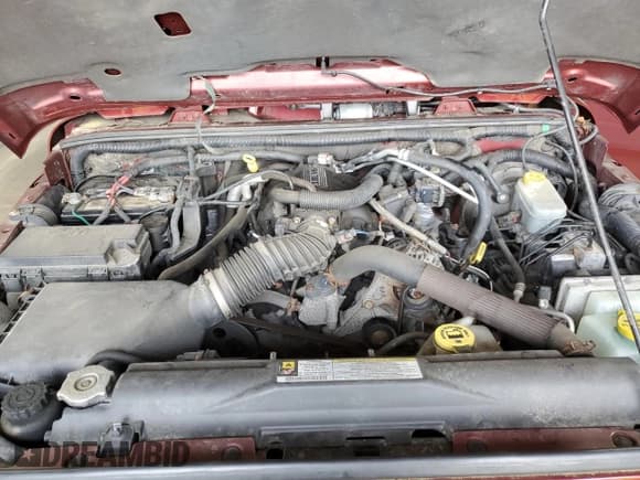 ✅ 2010 Jeep Wrangler Sahara • VIN: 1J4GA5D11AL106768 • Lot: 56935745. Wystawiony na Copart z przebiegiem 143 212 mil. Bezpłatny archiwum sprzedaży aukcyjnych z USA i szczegółowy raport historii pojazdu na DreamBid. Zdjęcie 12.