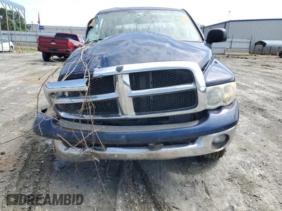 ✅ 2003 Dodge 1500 ST • VIN: 1D7HU18D03S317019 • Лот: 57450724. Опубликован ранее на Copart с пробегом Не указан. Бесплатный доступ к архиву аукционных продаж из США и подробный отчёт об истории автомобиля на DreamBid. Изображение 5.
