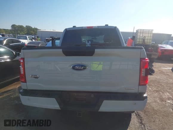 ✅ 2023 Ford F-150 XL • VIN: 1FTEW1EP2PKF26998 • Лот: 43405017. Опубликован ранее на IAAI с пробегом 43 218 миль. Бесплатный доступ к архиву аукционных продаж из США и подробный отчёт об истории автомобиля на DreamBid. Изображение 17.