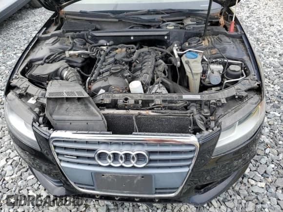 ✅ 2009 Audi A4 Premium • VIN: WAUVF78K29A182355 • Лот: 52485535. Опубликован ранее на Copart с пробегом Не указан. Бесплатный доступ к архиву аукционных продаж из США и подробный отчёт об истории автомобиля на DreamBid. Изображение 11.