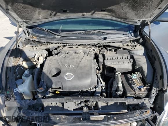 ✅ 2009 Nissan Maxima SV • VIN: 1N4AA51EX9C840989 • Lot: 82228005. Wystawiony na Copart z przebiegiem 148 318 mil. Bezpłatny archiwum sprzedaży aukcyjnych z USA i szczegółowy raport historii pojazdu na DreamBid. Zdjęcie 11.