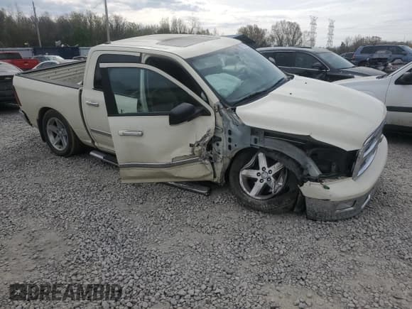 ✅ 2010 Dodge 1500 SLT • VIN: 1D7RB1CT7AS234967 • Lot: 50953835. Wystawiony na Copart z przebiegiem Nie podano. Bezpłatny archiwum sprzedaży aukcyjnych z USA i szczegółowy raport historii pojazdu na DreamBid. Zdjęcie 4.