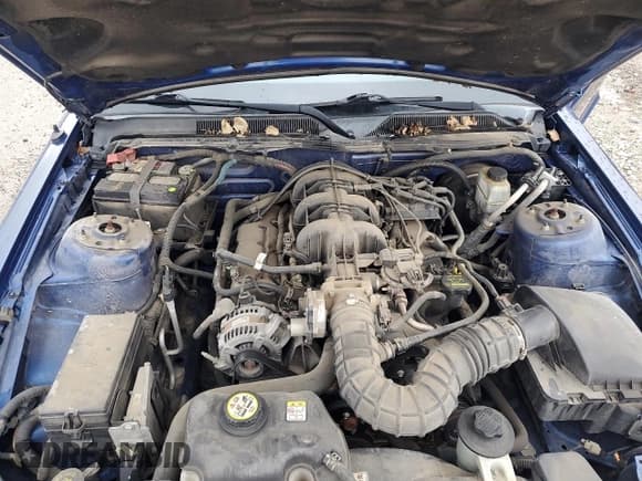 ✅ 2009 Ford Mustang • VIN: 1ZVHT80N395127410 • Lot: 80340174. Listed on Copart with 141,224 mi. Free auction sales archive from the USA and detailed vehicle history report at DreamBid. Image 11.