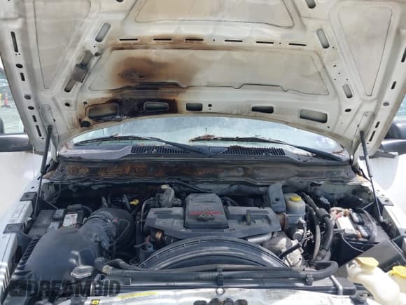 ✅ 2009 Dodge 2500 SLT • VIN: 3D7KS28L89G532303 • Лот: 42448581. Опубликован ранее на IAAI с пробегом 213 897 миль. Бесплатный доступ к архиву аукционных продаж из США и подробный отчёт об истории автомобиля на DreamBid. Изображение 10.