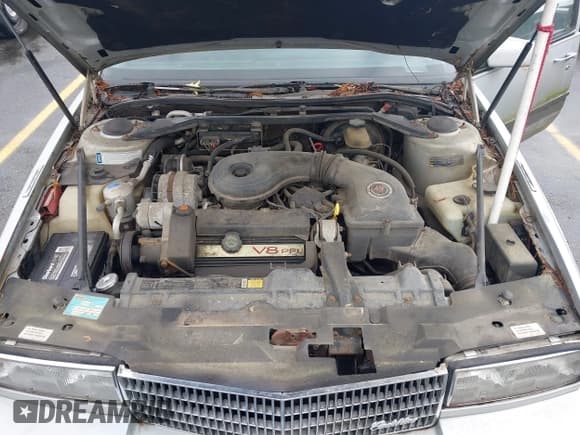 ✅ 1991 Cadillac Seville • VIN: 1G6KS53B2MU813855 • Lot: 42425470. Wystawiony na IAAI z przebiegiem 168 194 mil. Bezpłatny archiwum sprzedaży aukcyjnych z USA i szczegółowy raport historii pojazdu na DreamBid. Zdjęcie 10.