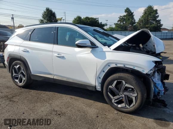 ✅ 2024 Hyundai Tucson Limited • VIN: KM8JFDD29RU156013 • Lot: 65209654. Wystawiony na Copart z przebiegiem 10 255 mil. Bezpłatny archiwum sprzedaży aukcyjnych z USA i szczegółowy raport historii pojazdu na DreamBid. Zdjęcie 4.