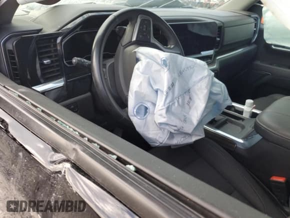 ✅ 2023 Chevrolet Silverado 1500 LT Trail Boss • VIN: 3GCUDFE85PG270953 • Lot: 81465985. Wystawiony na Copart z przebiegiem Nie podano. Bezpłatny archiwum sprzedaży aukcyjnych z USA i szczegółowy raport historii pojazdu na DreamBid. Zdjęcie 8.