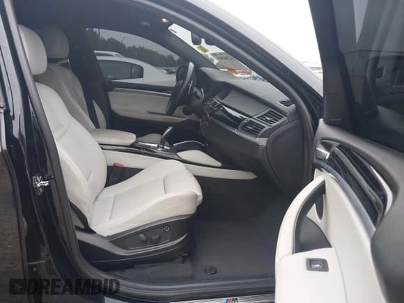 ✅ 2010 BMW X6 M • VIN: 5YMGZ0C52ALK13163 • Lot: 42364805. Listed on IAAI with 116,711 mi. Free auction sales archive from the USA and detailed vehicle history report at DreamBid. Image 5.