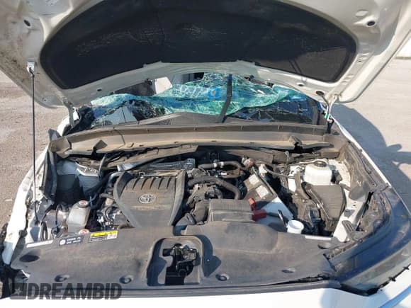 ✅ 2024 Toyota Highlander XLE • VIN: 5TDAAAB57RS011703 • Lot: 43160892. Listed on IAAI with Not provided. Free auction sales archive from the USA and detailed vehicle history report at DreamBid. Image 10.