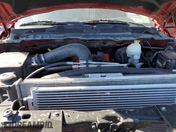 2009 Dodge 1500 SLT с VIN 1D3HV18T39S708440, выставлен на аукционе Copart как лот 82810064 с пробегом 173 792 миль миль и Списание • Salvage title. История ставок и продаж доступна на DreamBid. Изображение 11.