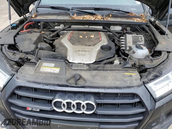 ✅ 2019 Audi SQ5 Premium Plus • VIN: WA1B4AFY2K2045961 • Lot: 53141525. Listed on Copart with 37,156 mi. Free auction sales archive from the USA and detailed vehicle history report at DreamBid. Image 12.
