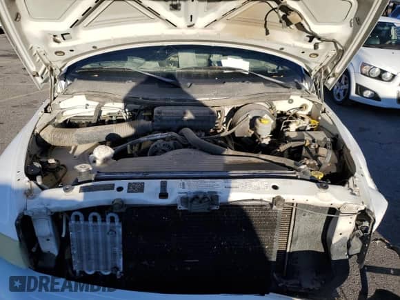 1999 Dodge 1500 z VIN 3B7HC13Y1XG185649, wystawiony jako Copart lot #80685714 z przebiegiem 225 776 mil mil oraz Szkoda całkowita • Salvage title. Historia ofert i sprzedaży dostępna na DreamBid. Obrazek 11.