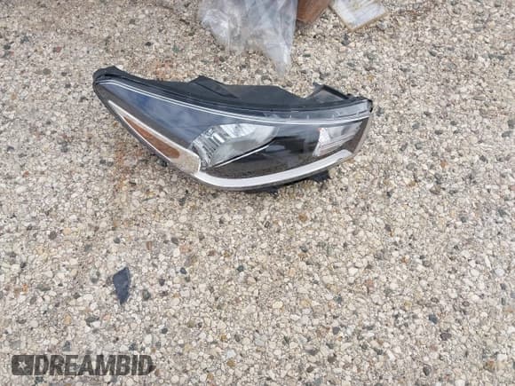 ✅ 2024 Kia Forte LXS • VIN: 3KPF24AD5RE790137 • Lot: 43451026. Wystawiony na IAAI z przebiegiem 15 341 mil. Bezpłatny archiwum sprzedaży aukcyjnych z USA i szczegółowy raport historii pojazdu na DreamBid. Zdjęcie 11.