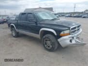 ✅ 2004 Dodge Dakota SLT • VIN: 1D7HG48N14S503851 • Lot: 41883437. Wystawiony na IAAI z przebiegiem 225 505 mil. Bezpłatny archiwum sprzedaży aukcyjnych z USA i szczegółowy raport historii pojazdu na DreamBid. Zdjęcie 1.