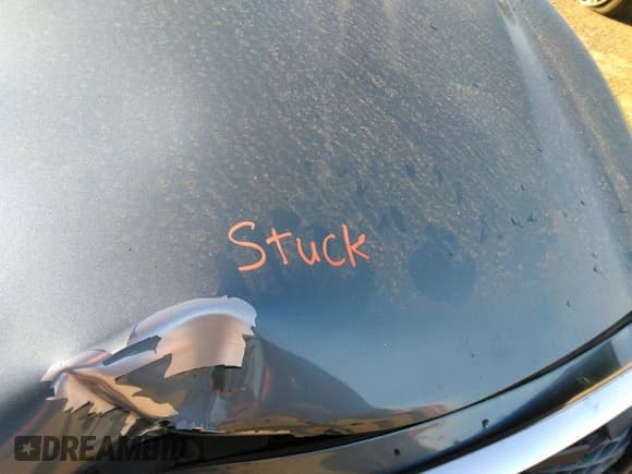 ✅ 2014 Infiniti Q50 Hybrid Premium • VIN: JN1AV7AR0EM702446 • Lot: 38119896. Listed on IAAI with Not provided. Free auction sales archive from the USA and detailed vehicle history report at DreamBid. Image 10.