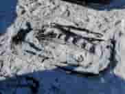 2018 Jeep Compass Limited с VIN 3C4NJDCB0JT168619, выставлен на аукционе Copart как лот 42198375 с пробегом 131 196 миль миль и Списание • Salvage title. История ставок и продаж доступна на DreamBid. Изображение 12.