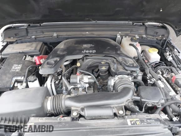 ✅ 2021 Jeep Wrangler Unlimited Rubicon • VIN: 1C4HJXFG2MW505280 • Lot: 43687706. Listed on IAAI with 48,885 mi. Free auction sales archive from the USA and detailed vehicle history report at DreamBid. Image 10.