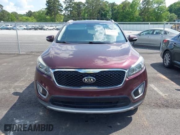 ✅ 2017 Kia Sorento EX • VIN: 5XYPH4A53HG287333 • Lot: 42230196. Listed on IAAI with 253,625 mi. Free auction sales archive from the USA and detailed vehicle history report at DreamBid. Image 12.