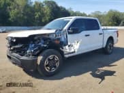 ✅ 2023 Ford F-150 Lightning Pro • VIN: 1FT6W1EVXPWG44485 • Лот: 80812585. Опубликован ранее на Copart с пробегом Не указан. Бесплатный доступ к архиву аукционных продаж из США и подробный отчёт об истории автомобиля на DreamBid. Изображение 1.