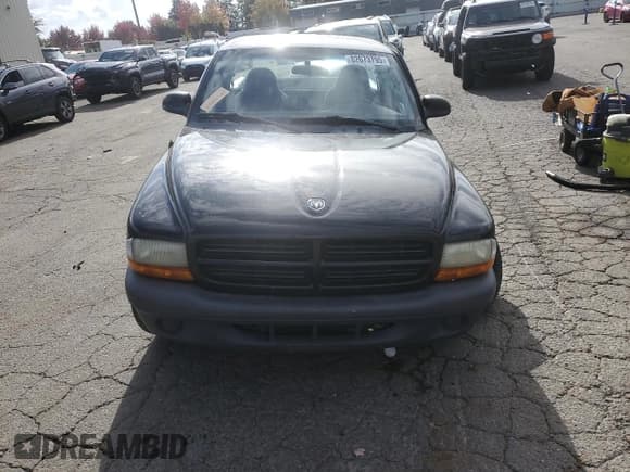 ✅ 2003 Dodge Dakota • VIN: 1D7FL16X43S168315 • Lot: 82673795. Wystawiony na Copart z przebiegiem 162 052 mil. Bezpłatny archiwum sprzedaży aukcyjnych z USA i szczegółowy raport historii pojazdu na DreamBid. Zdjęcie 5.