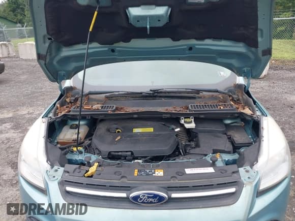 ✅ 2013 Ford Escape SE • VIN: 1FMCU9GX2DUC41058 • Lot: 42902425. Listed on IAAI with 109,278 mi. Free auction sales archive from the USA and detailed vehicle history report at DreamBid. Image 9.