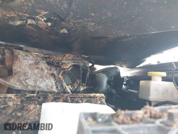 2019 Ram 1500 Tradesman z VIN 1C6SRFCT8KN601628, wystawiony jako IAAI lot #43016581 z przebiegiem Nie podano mil oraz . Historia ofert i sprzedaży dostępna na DreamBid. Obrazek 10.