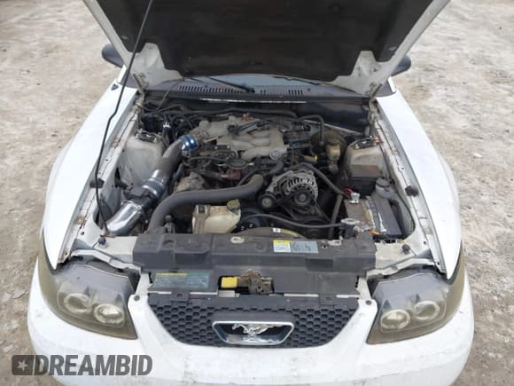 ✅ 2004 Ford Mustang Deluxe • VIN: 1FAFP44694F208401 • Lot: 43871483. Listed on IAAI with 133,344 mi. Free auction sales archive from the USA and detailed vehicle history report at DreamBid. Image 10.