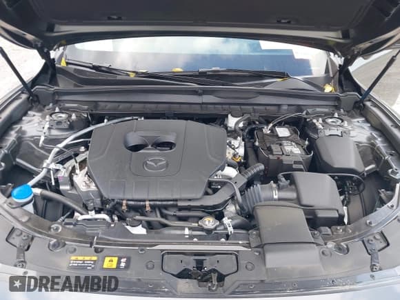 ✅ 2025 Mazda CX-50 S Premium Plus • VIN: 7MMVABEM8SN373156 • Лот: 43582168. Опубликован ранее на IAAI с пробегом 8 594 миль. Бесплатный доступ к архиву аукционных продаж из США и подробный отчёт об истории автомобиля на DreamBid. Изображение 10.