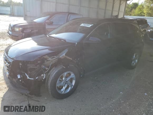 ✅ 2024 Hyundai Tucson SEL • VIN: 5NMJB3DE5RH316349 • Lot: 72583954. Wystawiony na Copart z przebiegiem 13 685 mil. Bezpłatny archiwum sprzedaży aukcyjnych z USA i szczegółowy raport historii pojazdu na DreamBid. Zdjęcie 1.