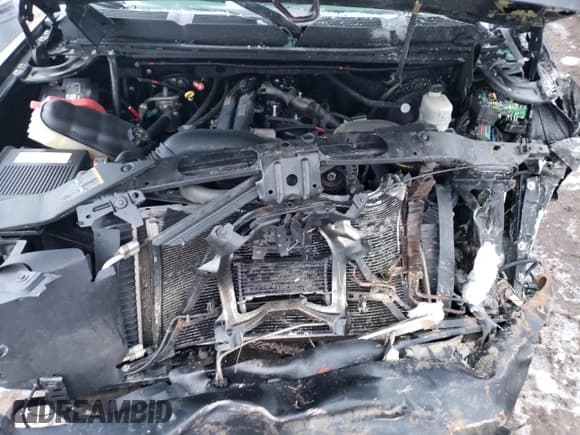 ✅ 2007 Chevrolet Silverado 1500 LTZ • VIN: 1GCEK19J07Z624839 • Lot: 40183524. Listed on Copart with Not provided. Free auction sales archive from the USA and detailed vehicle history report at DreamBid. Image 12.