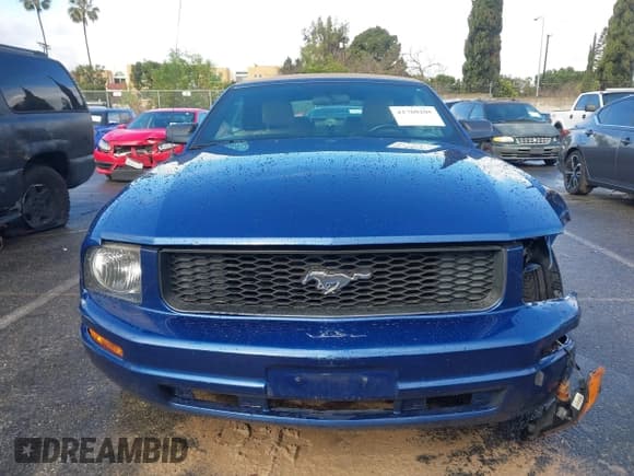✅ 2007 Ford Mustang Deluxe • VIN: 1ZVFT84N875329917 • Lot: 41760205. Listed on IAAI with 171,005 mi. Free auction sales archive from the USA and detailed vehicle history report at DreamBid. Image 12.