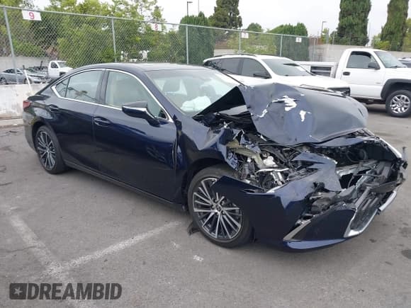 ✅ 2022 Lexus ES 350 • VIN: 58ADZ1B13NU125937 • Lot: 42361208. Listed on IAAI with 20,443 mi. Free auction sales archive from the USA and detailed vehicle history report at DreamBid. Image 1.