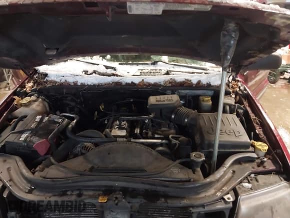 ✅ 2001 Jeep Grand Cherokee Laredo • VIN: 1J4GW48S11C509972 • Lot: 43900851. Listed on IAAI with Not provided. Free auction sales archive from the USA and detailed vehicle history report at DreamBid. Image 10.