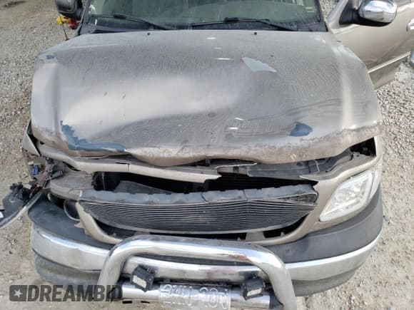 ✅ 2001 Ford F-150 • VIN: 2FTZX17211CA10370 • Lot: 93277905. Wystawiony na Copart z przebiegiem Nie podano. Bezpłatny archiwum sprzedaży aukcyjnych z USA i szczegółowy raport historii pojazdu na DreamBid. Zdjęcie 11.